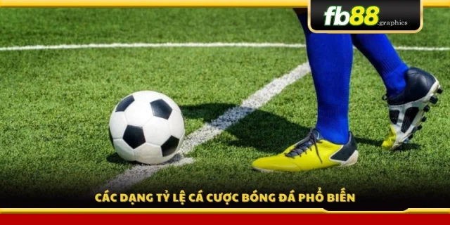 Phân loại những loại kèo bóng đá thường gặp